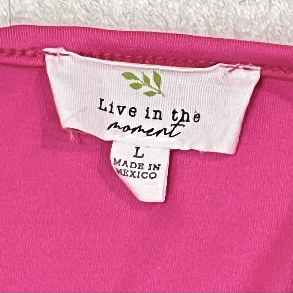 Live in the Moment Pink V Neck Puff Sleeve Bodysuit Size Large - Picture 13 of 14